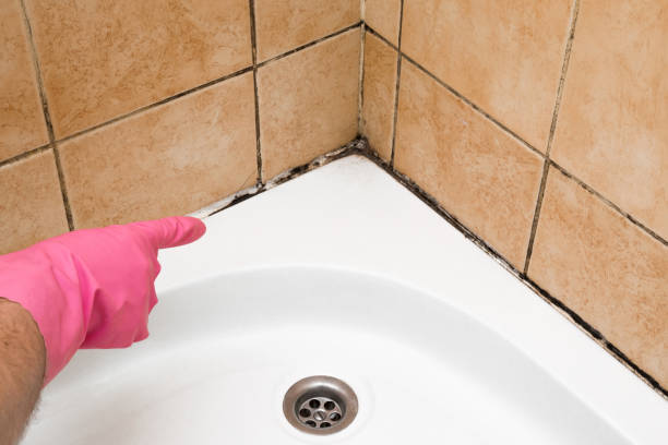Best Emergency Mold Removal  in Naco, AZ
